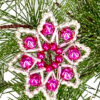 Starry Gems - A