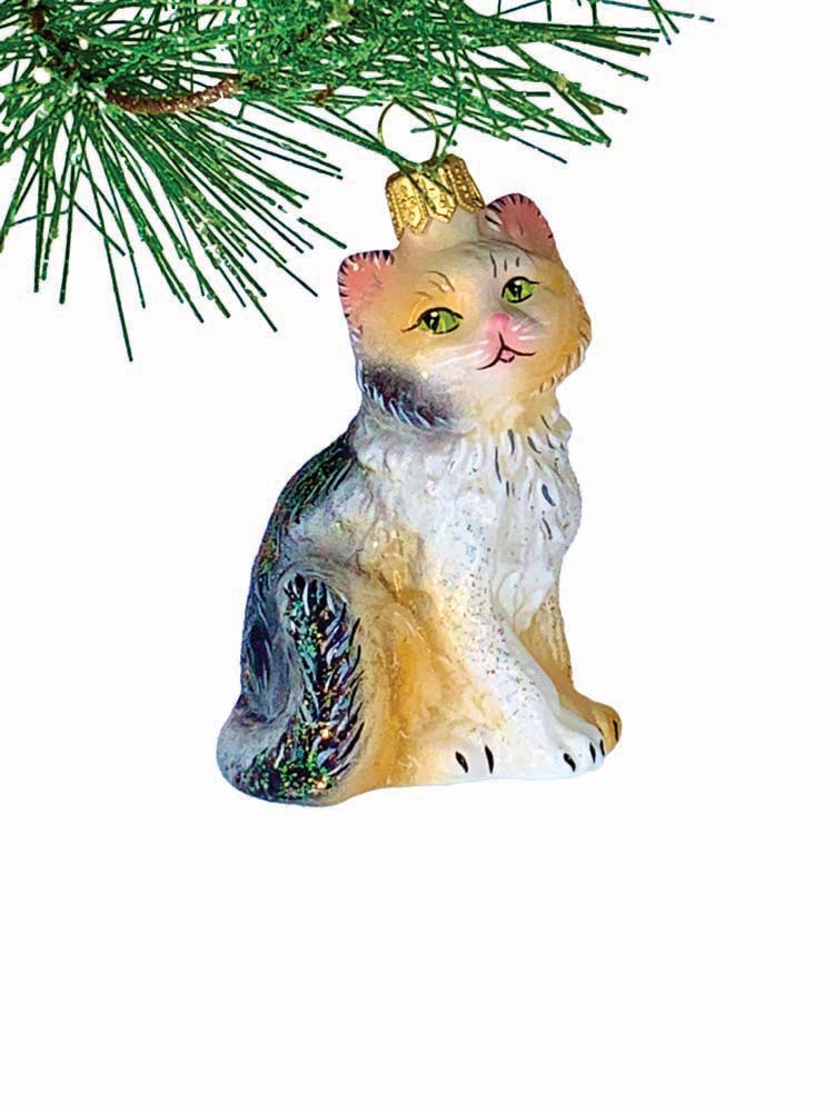 Tabitha